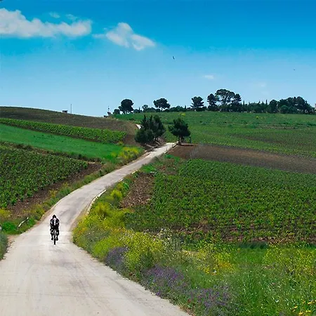 Stella Marina Mazara del Vallo