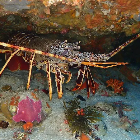 Stella Marina Lejlighed